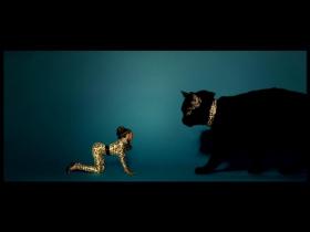 Beyonce Kitty Kat & Green Light